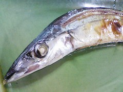 f:id:soorce:20101101231118j:image