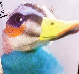 f:id:soorce:20110316221340j:image