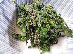 f:id:soorce:20110328221347j:image