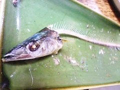 20120830231139