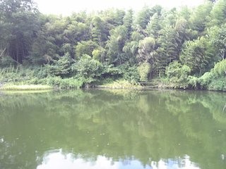 20120917222556