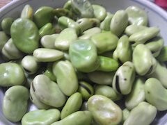 f:id:soorce:20160605230353j:image