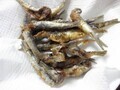 20260626172236
