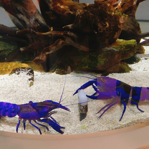 f:id:soosun:20170313193153j:plain f:id:soosun:20170313193153j:plain