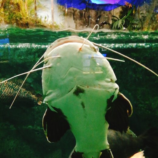 f:id:soosun:20170313193207j:plain f:id:soosun:20170313193207j:plain