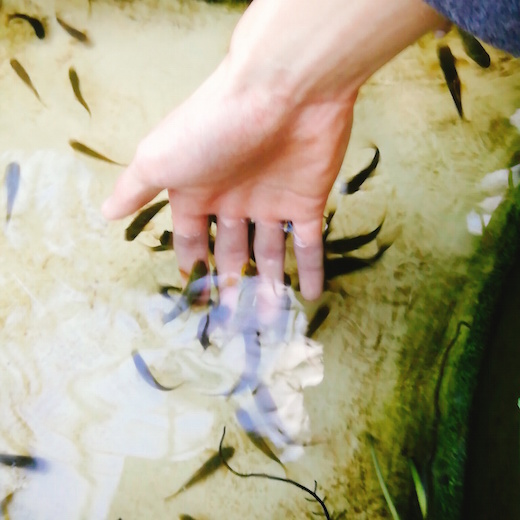 f:id:soosun:20170313194247j:plain f:id:soosun:20170313194247j:plain