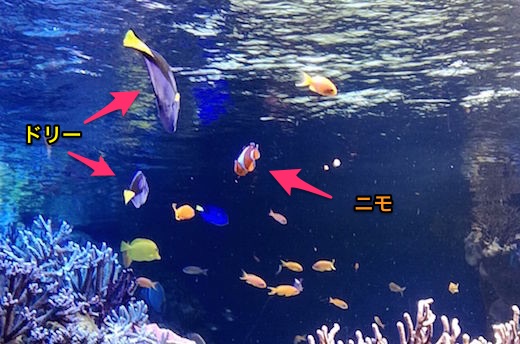 f:id:soosun:20170313202107j:plain f:id:soosun:20170313202107j:plain