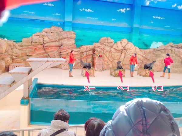 f:id:soosun:20170313203722j:plain f:id:soosun:20170313203722j:plain