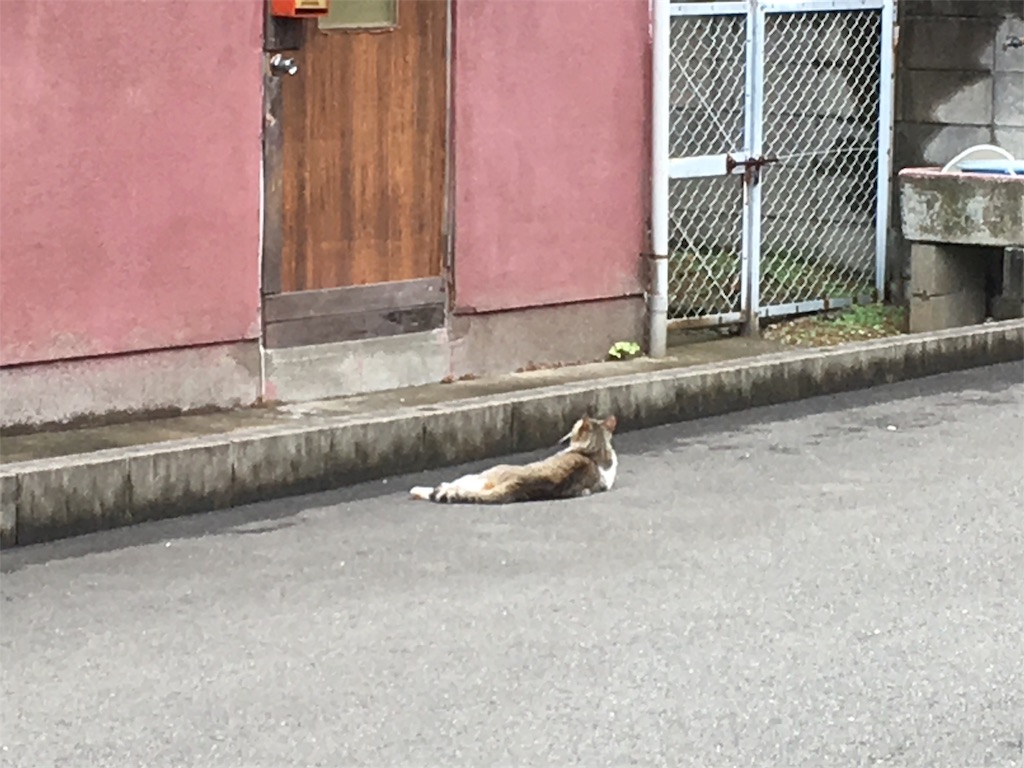 f:id:soosy:20180701001704j:image f:id:soosy:20180701001704j:image