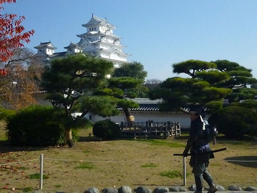 f:id:sop_konoha:20141123095518j:image