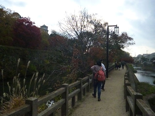 f:id:sop_konoha:20141123142911j:image