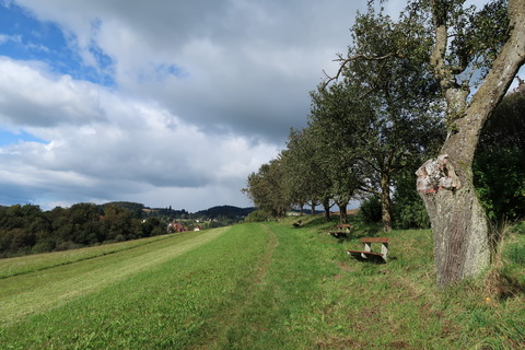 IMG_1949