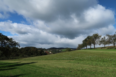 IMG_1948