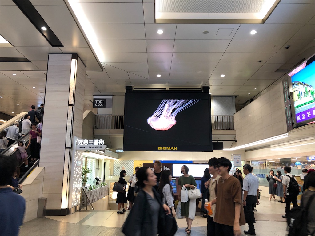 f:id:sophisticatedlife:20190928221035j:image