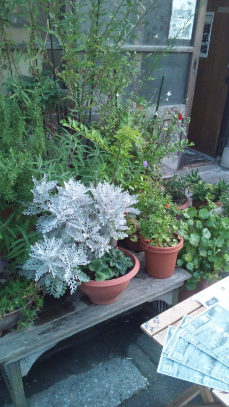 f:id:sora-an:20140712184110j:image f:id:sora-an:20140712184110j:image