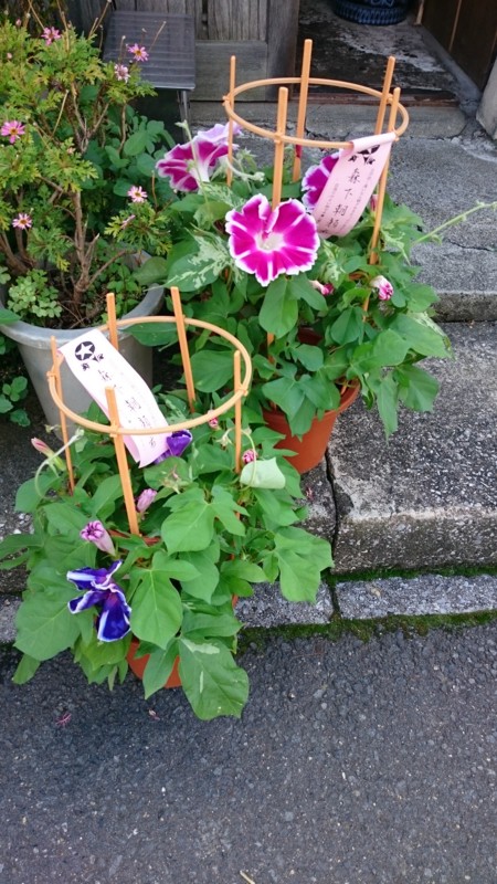 f:id:sora-an:20150628120455j:image