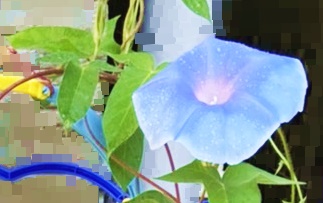f:id:sora-aruku:20210809154441j:plain