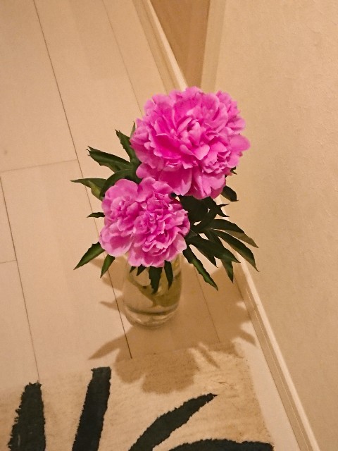 f:id:sora-rara:20180519111754j:image