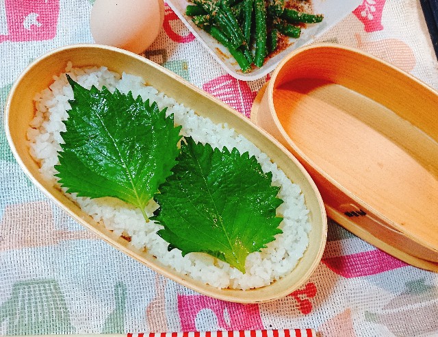 f:id:sora-rara:20181016070309j:image f:id:sora-rara:20181016070309j:image