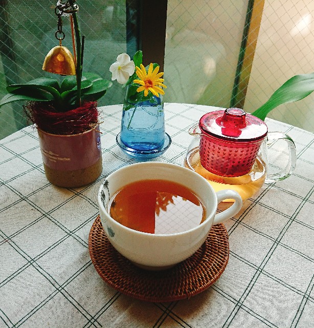 f:id:sora-rara:20181125133243j:image