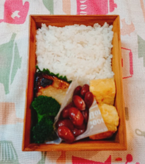 f:id:sora-rara:20190214080441j:image