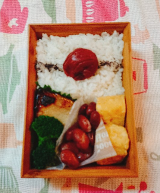 f:id:sora-rara:20190214080501j:image