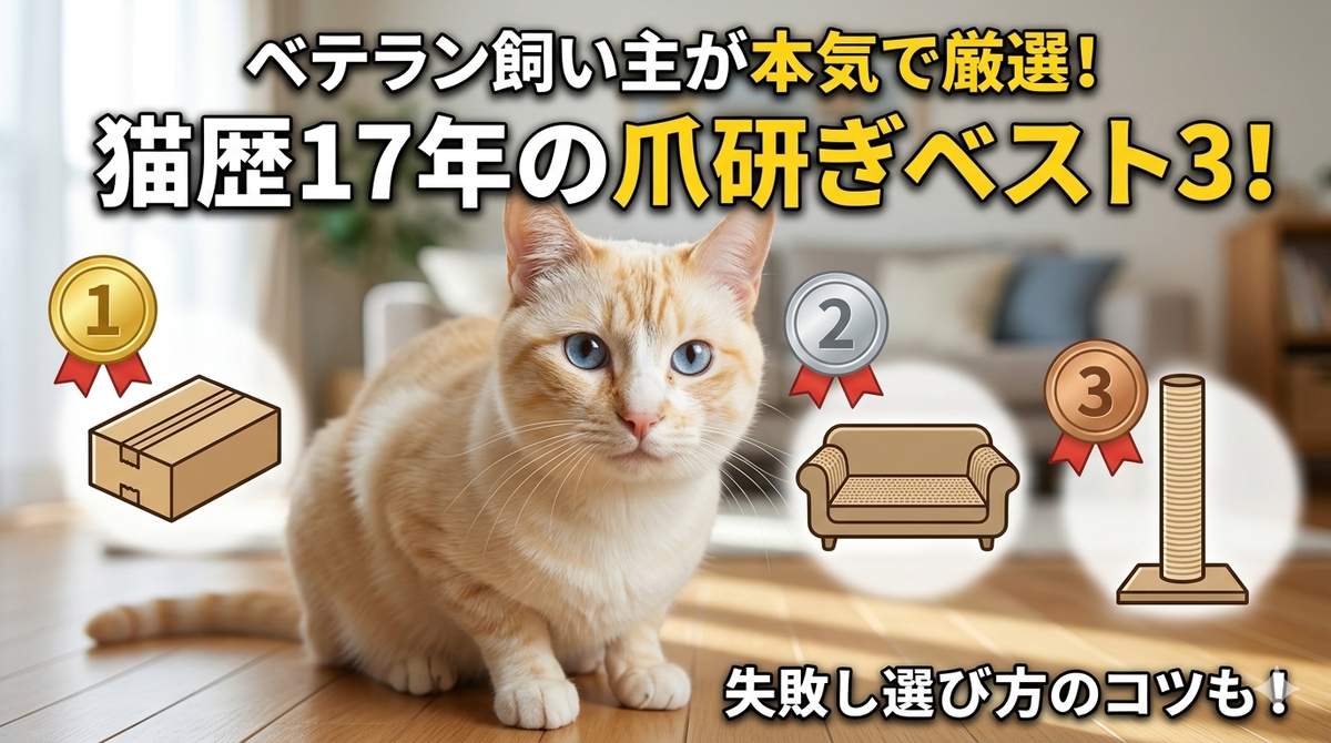 猫用爪研ぎおすすめランキング
