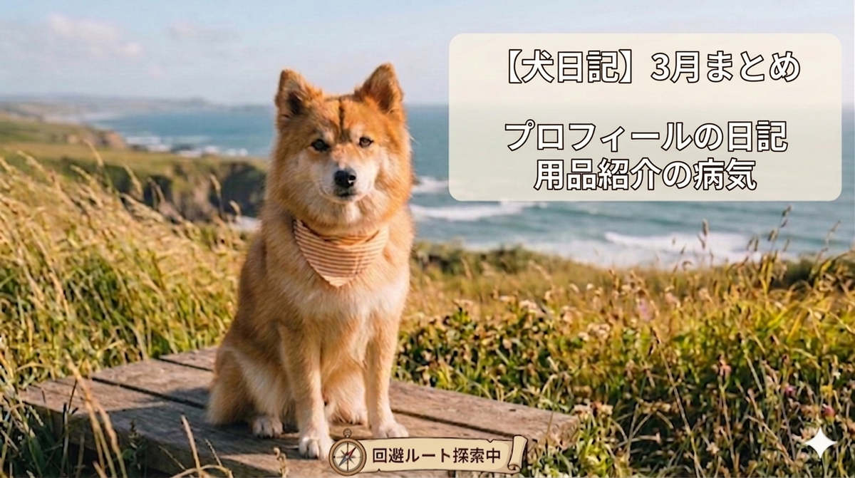 3月の思い出まとめ