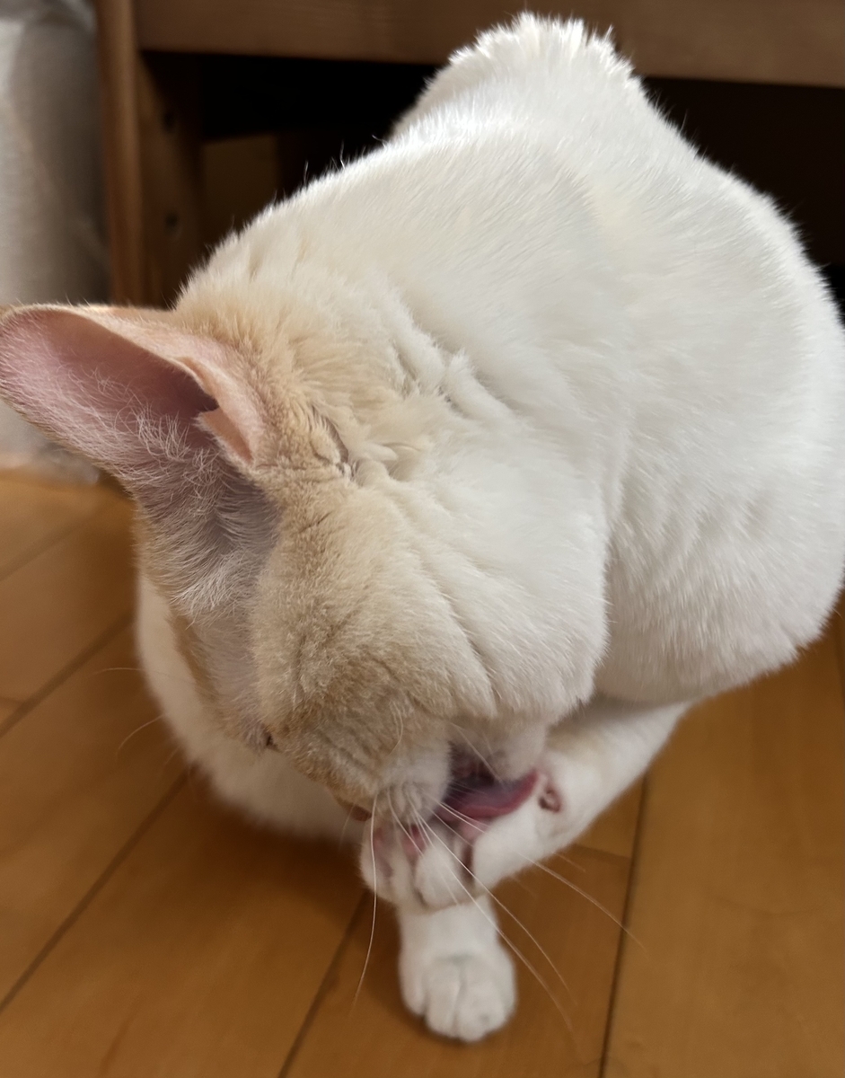満足(?)な表情