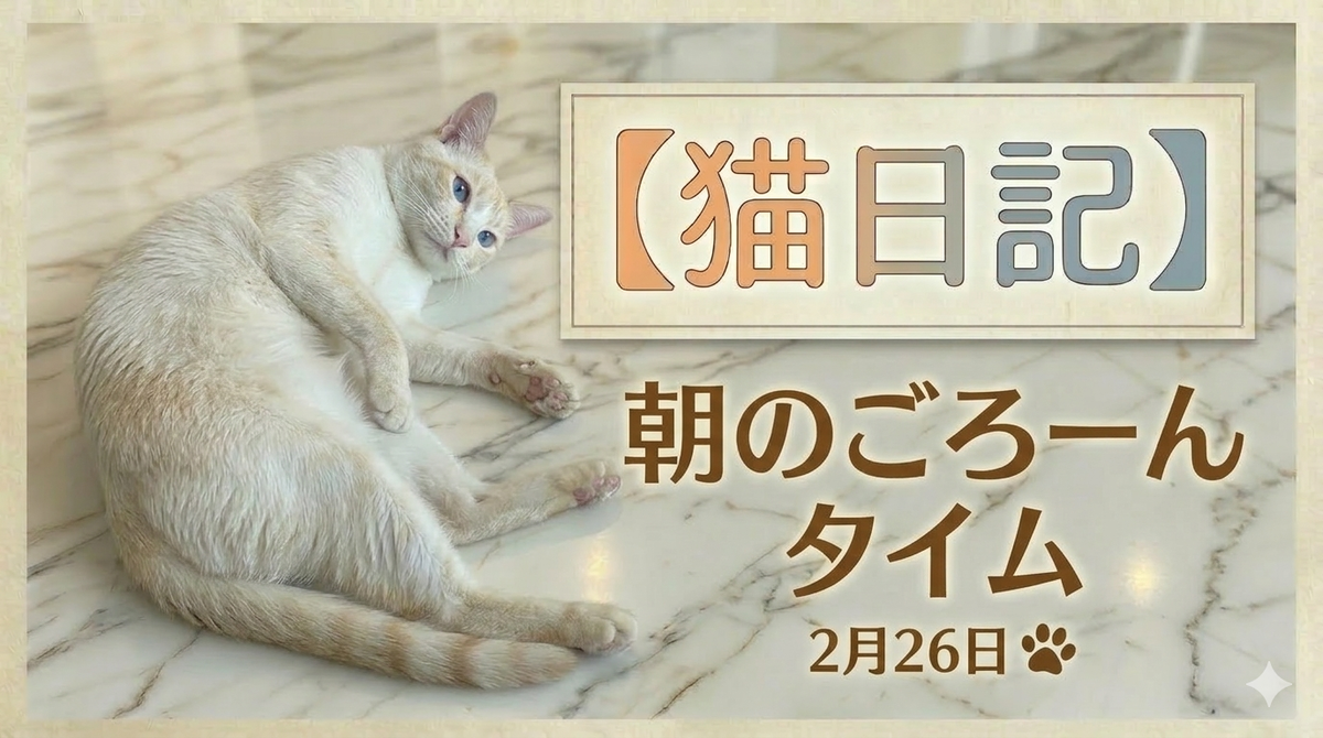朝の光の中でくつろぐ猫