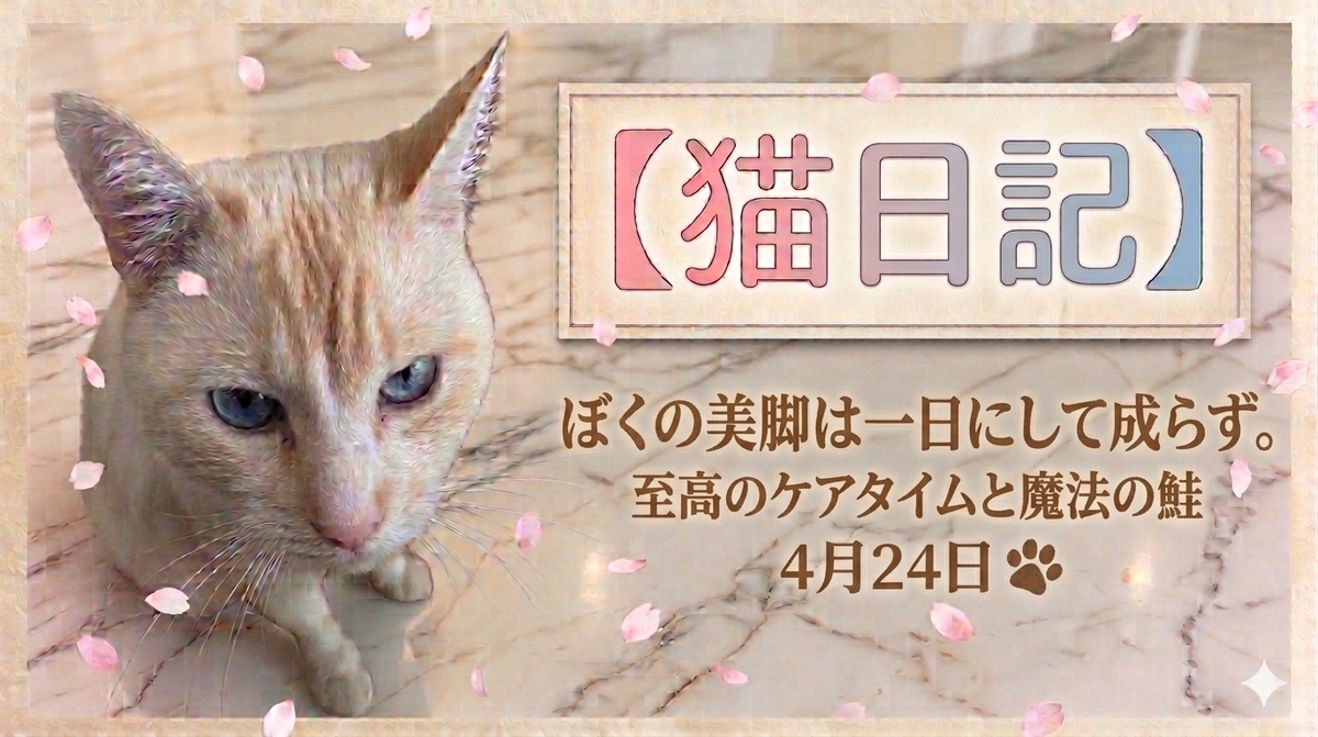 愛猫の日常