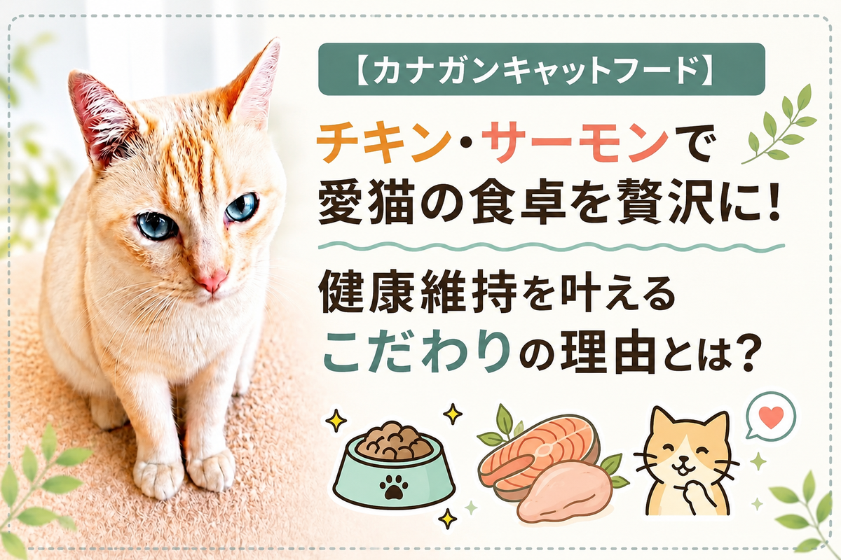 カナガンキャットフード】チキン・サーモンで愛猫の食卓を贅沢に！健康