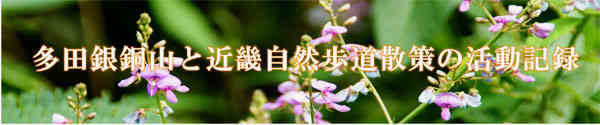 f:id:sora09:20151026173449j:image