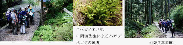f:id:sora09:20151026180816j:image