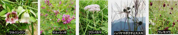 f:id:sora09:20151026183647j:image