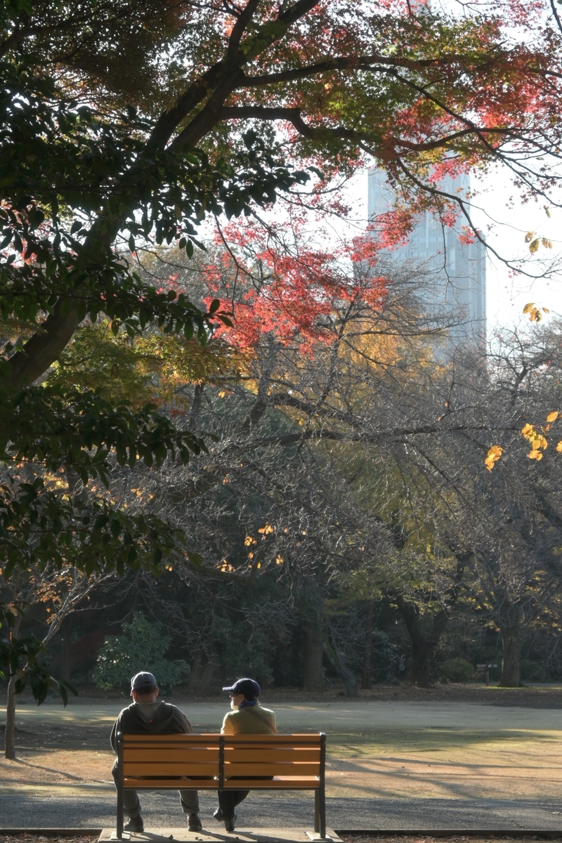 f:id:sora101064:20201213160814j:plain