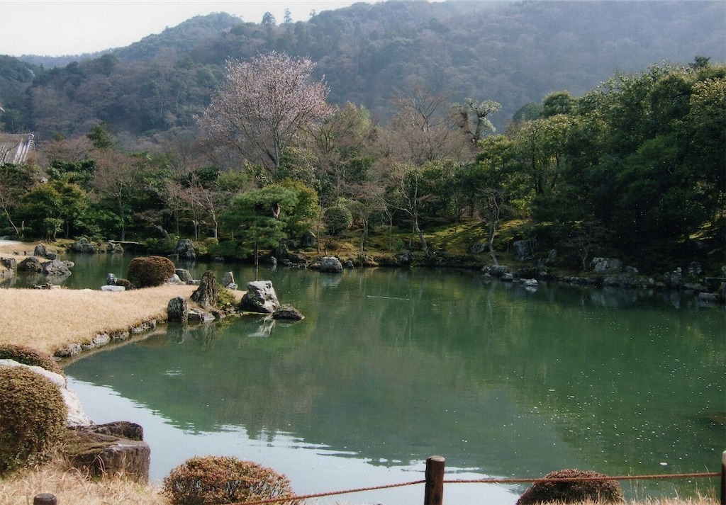 f:id:sora1045:20200705211821j:image f:id:sora1045:20200705211821j:image