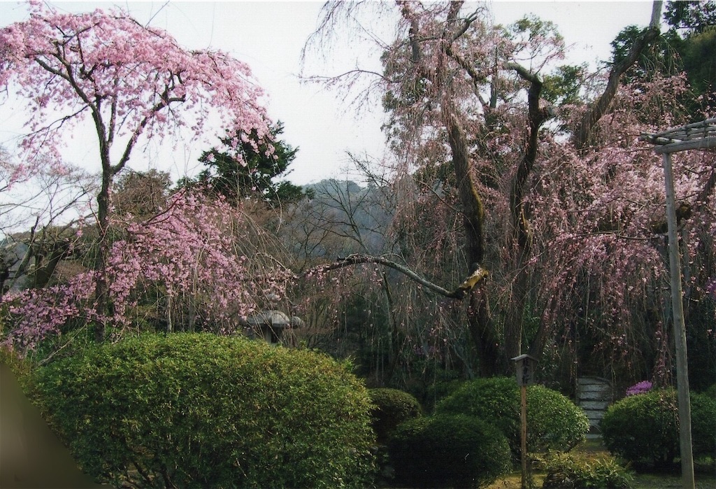 f:id:sora1045:20200714214947j:image