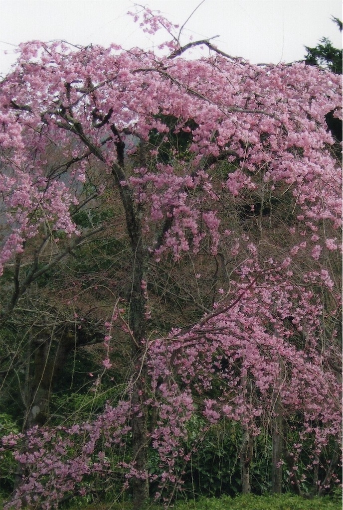 f:id:sora1045:20200717124612j:image
