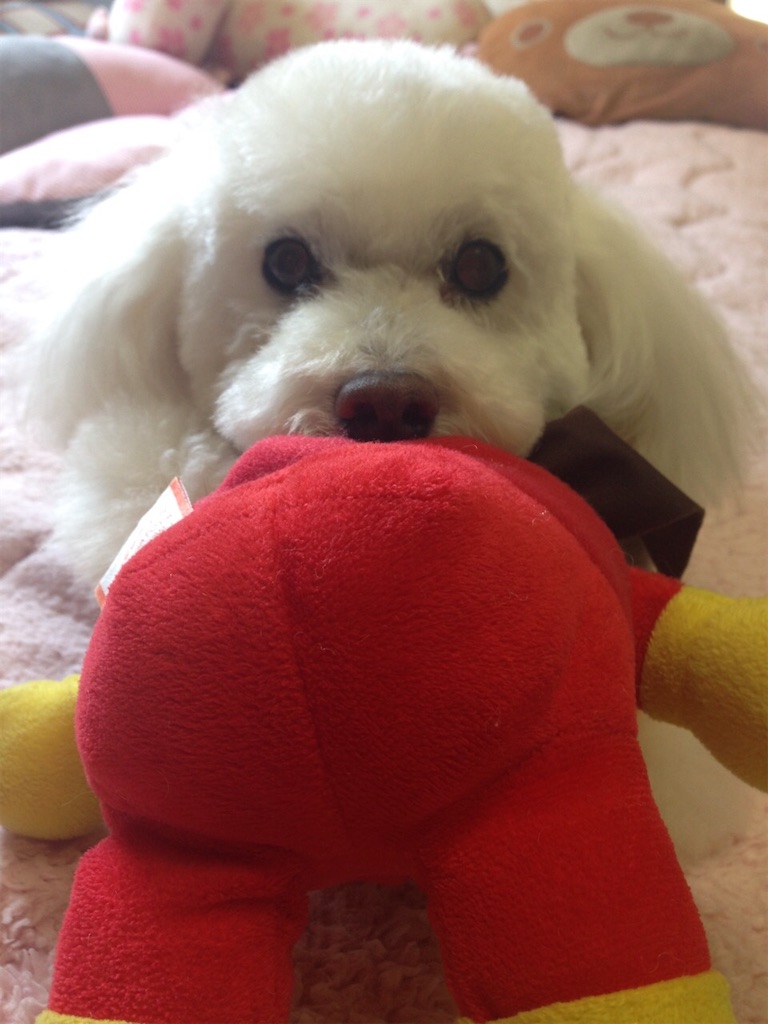 f:id:sora1045:20200724230619j:image