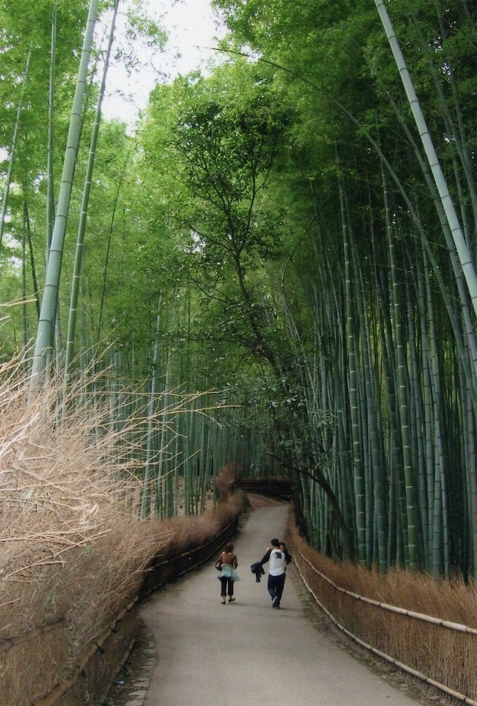 f:id:sora1045:20200802220217j:image f:id:sora1045:20200802220217j:image
