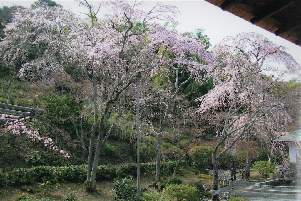 f:id:sora1045:20200802221148j:image f:id:sora1045:20200802221148j:image