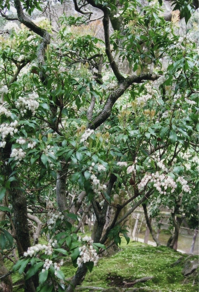 f:id:sora1045:20200806210943j:image