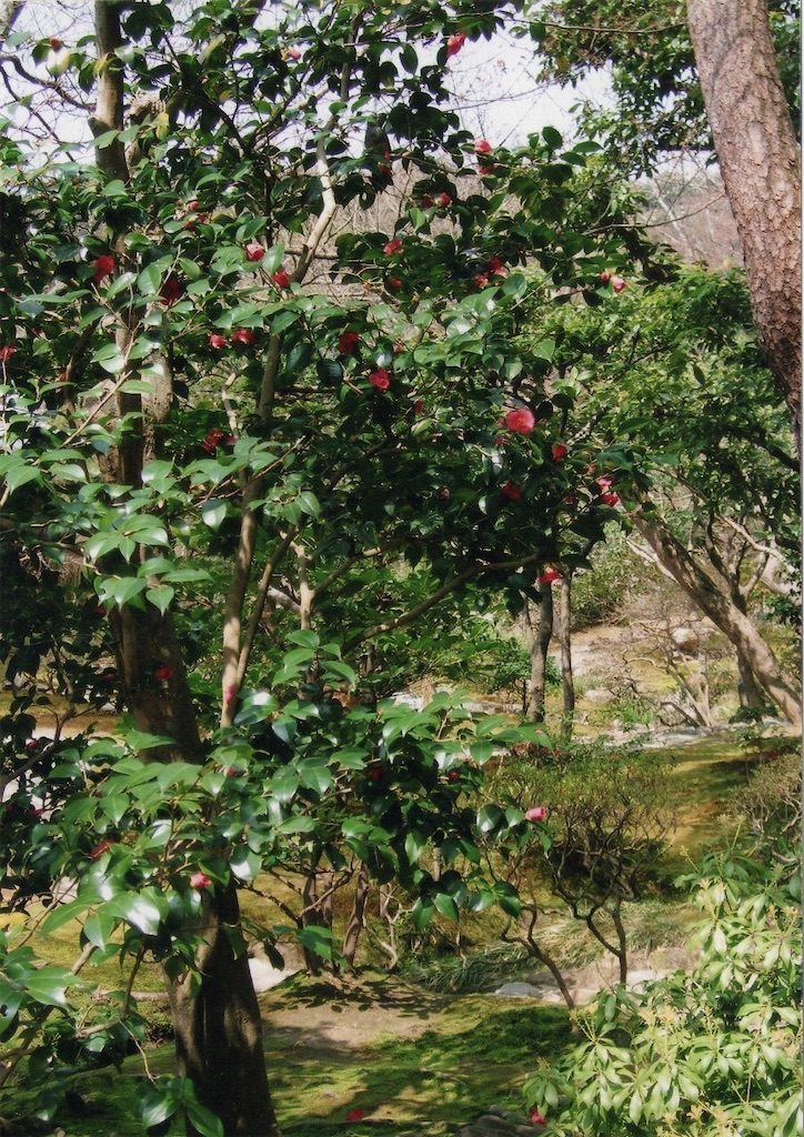 f:id:sora1045:20200811215635j:image