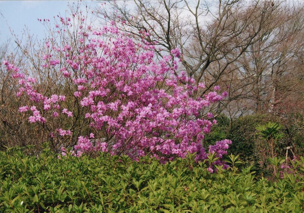 f:id:sora1045:20200901215036j:image f:id:sora1045:20200901215036j:image