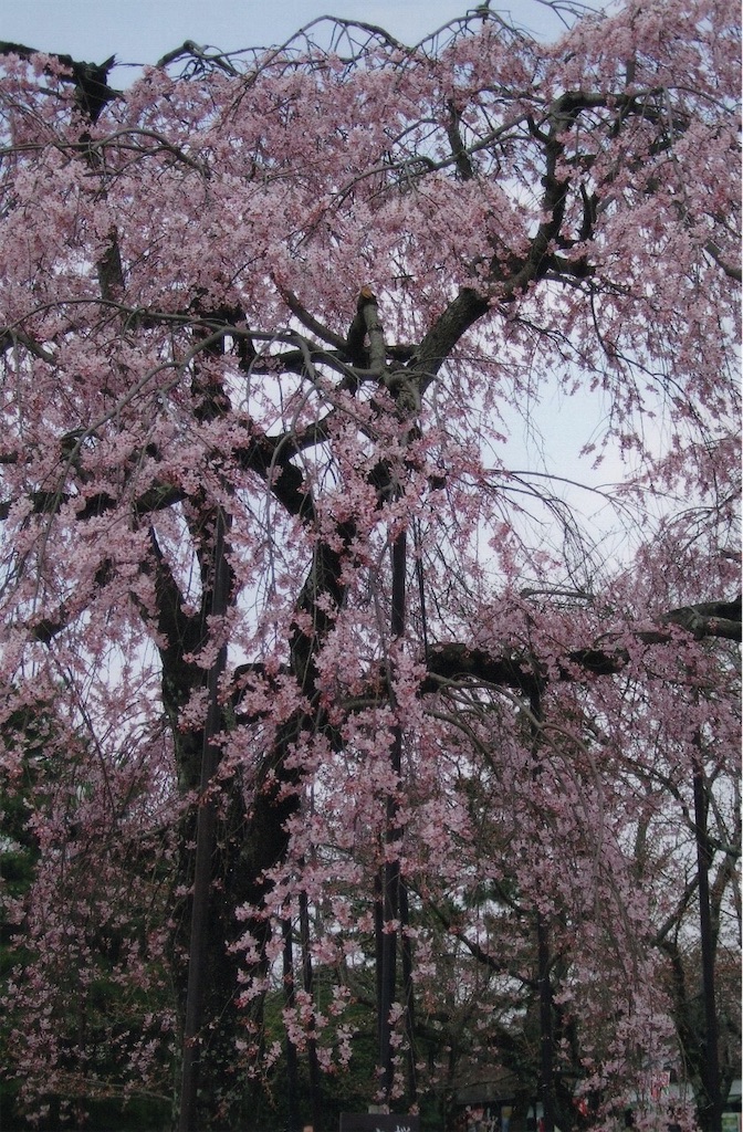 f:id:sora1045:20200907211520j:image f:id:sora1045:20200907211520j:image