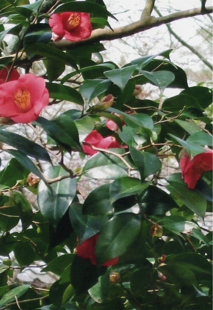 f:id:sora1045:20200907213310j:image f:id:sora1045:20200907213310j:image