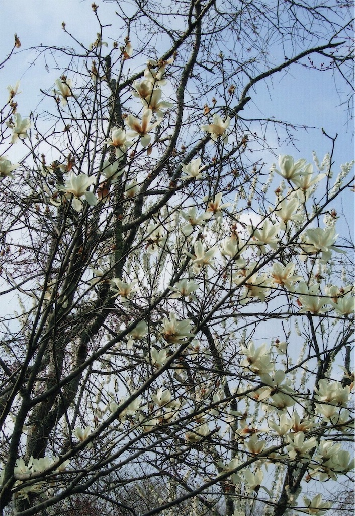 f:id:sora1045:20200910075247j:image f:id:sora1045:20200910075247j:image