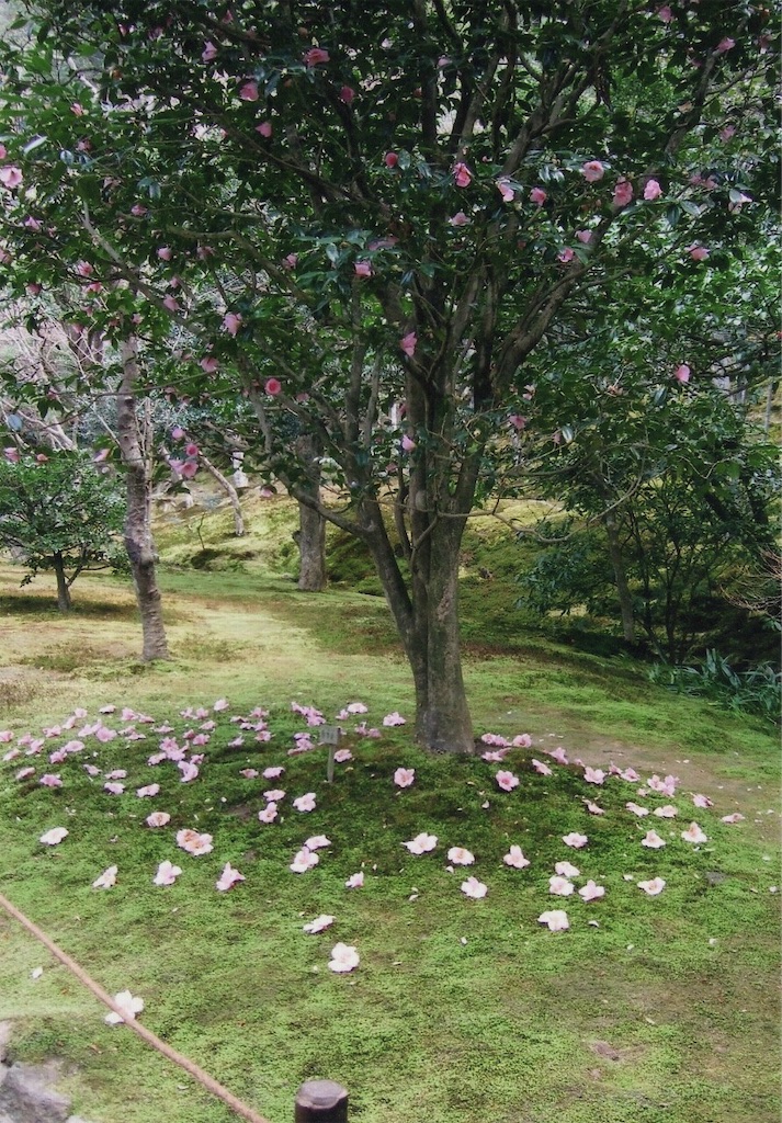 f:id:sora1045:20200918161300j:image f:id:sora1045:20200918161300j:image