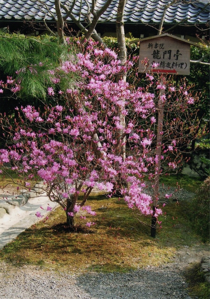 f:id:sora1045:20200923161409j:image f:id:sora1045:20200923161409j:image